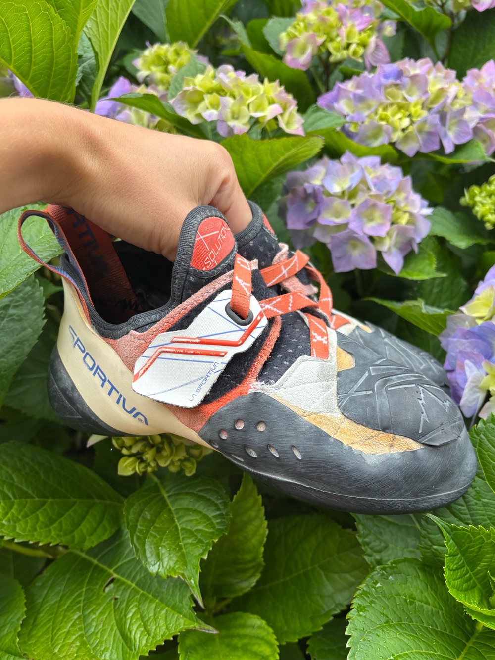 La Sportiva Women’s Solution Climbing Shoe in Black, Cream, Orange